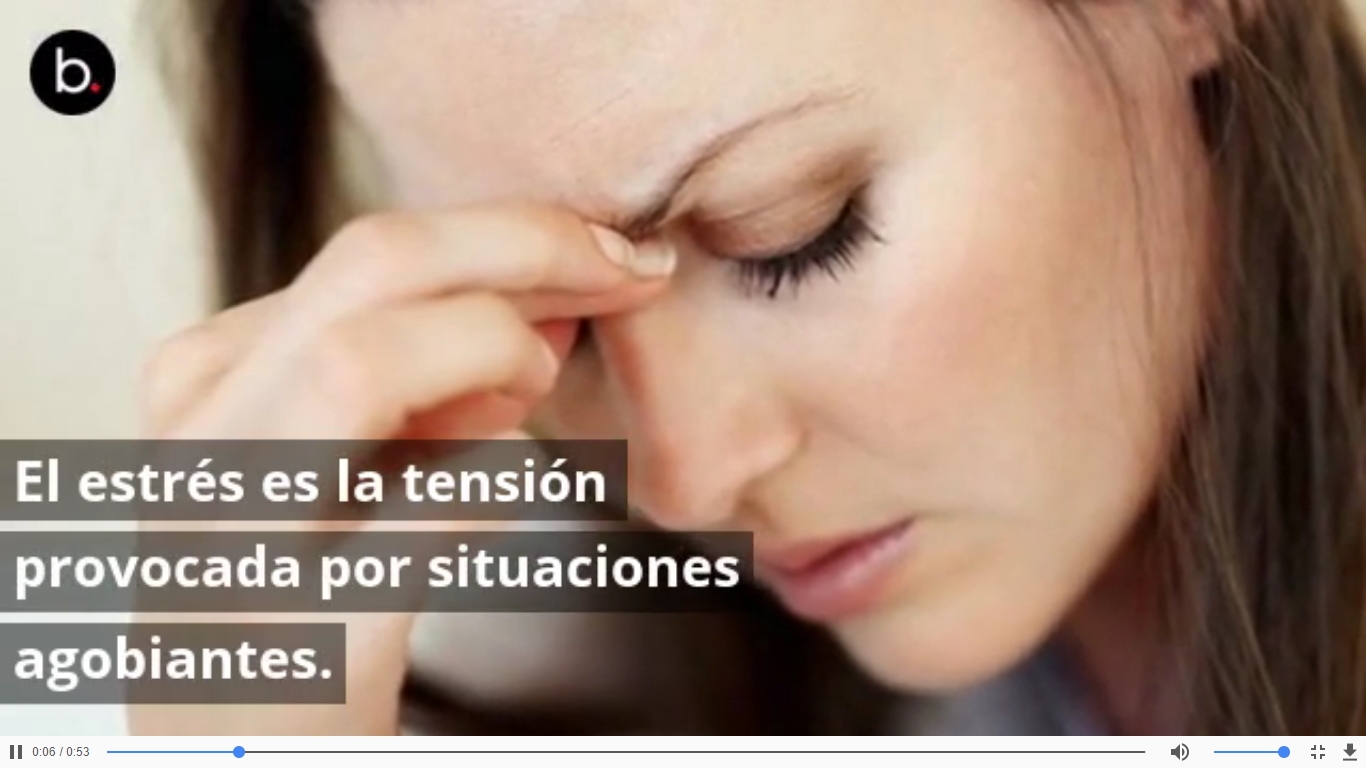 ¿Cómo lidiar con el estrés y no morir en el intento?
