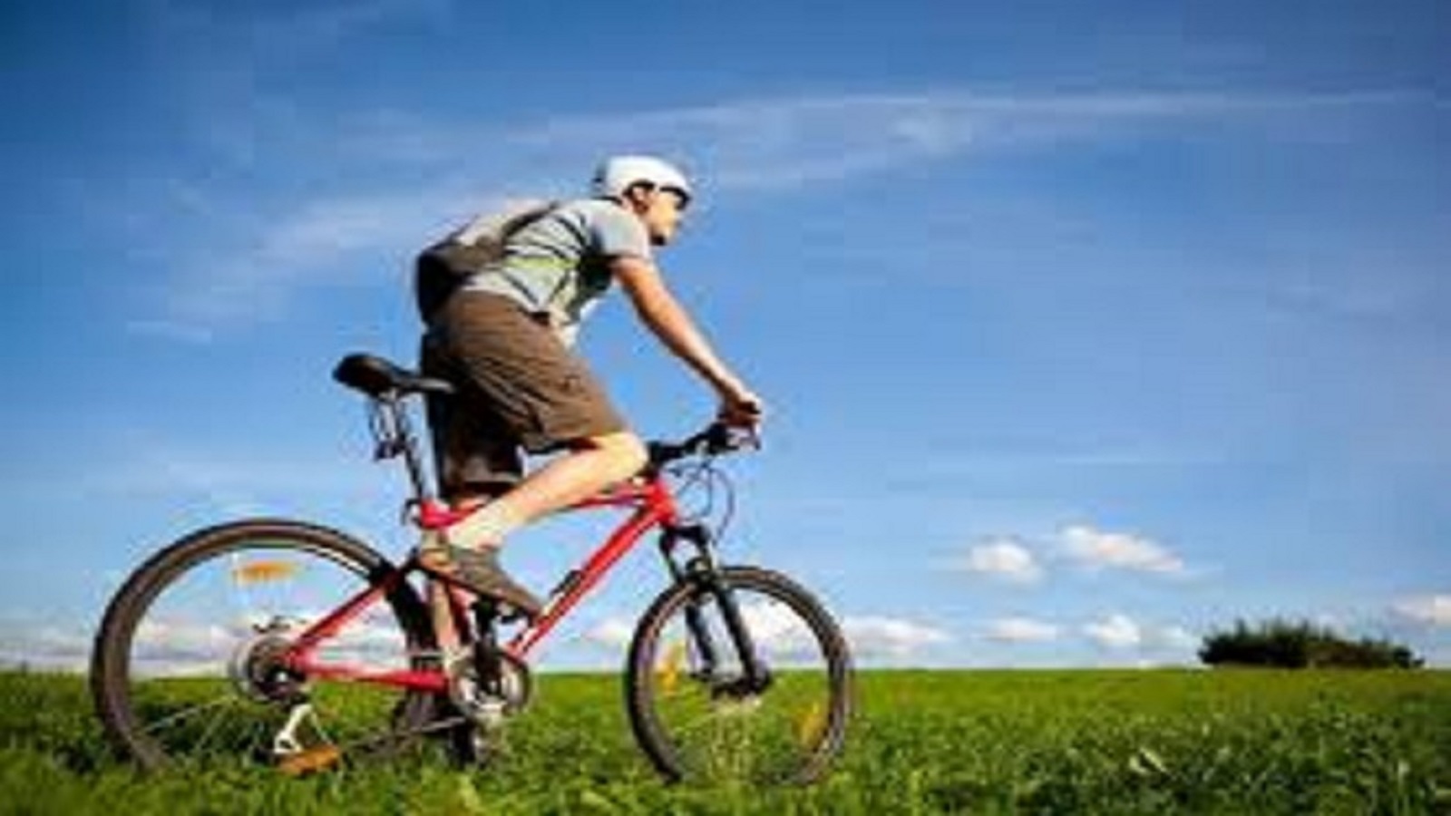 VIDEO: Conoce los beneficios de los ejercicios cardio