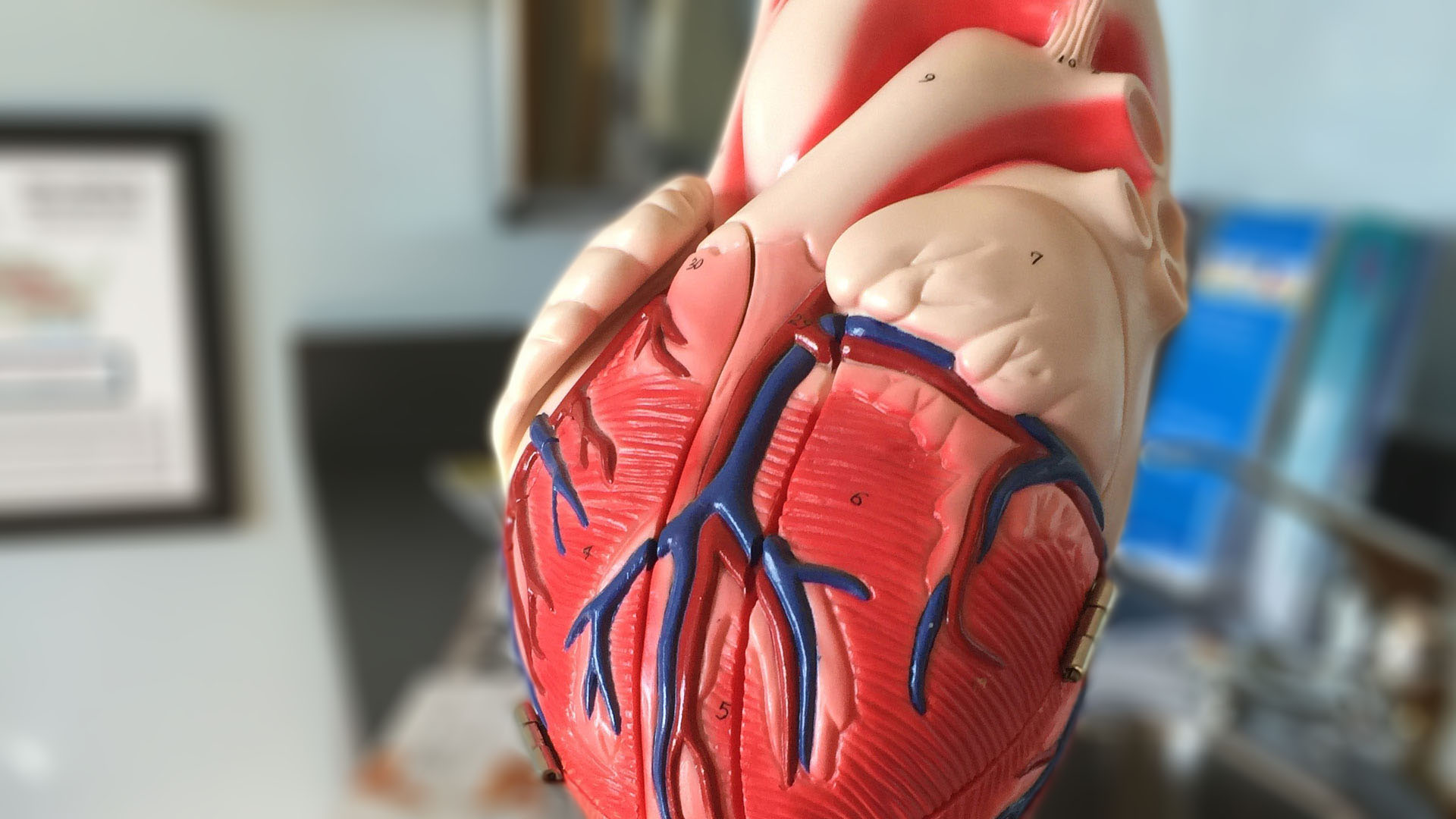 Las personas con el corazón más saludable del mundo se pueden hallar en Bolivia