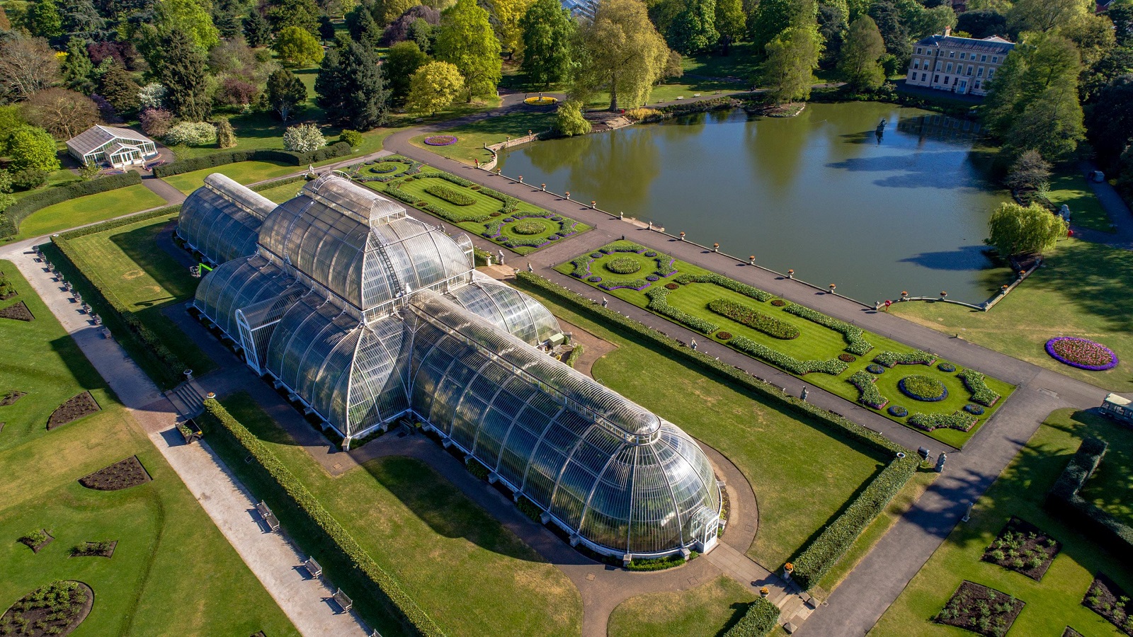 Kew Gardens: el invernadero más grande del mundo reabre sus puertas