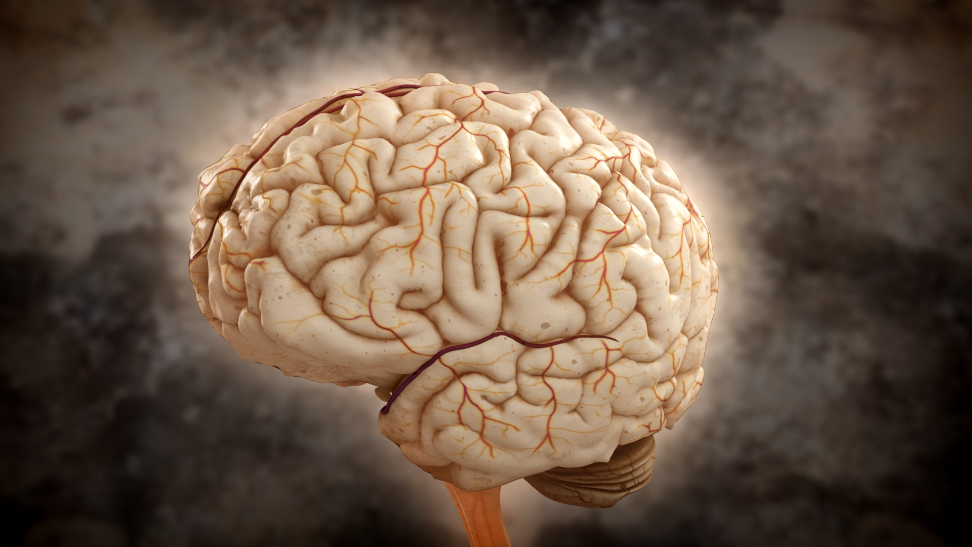 Los genes basura regeneran el cerebro