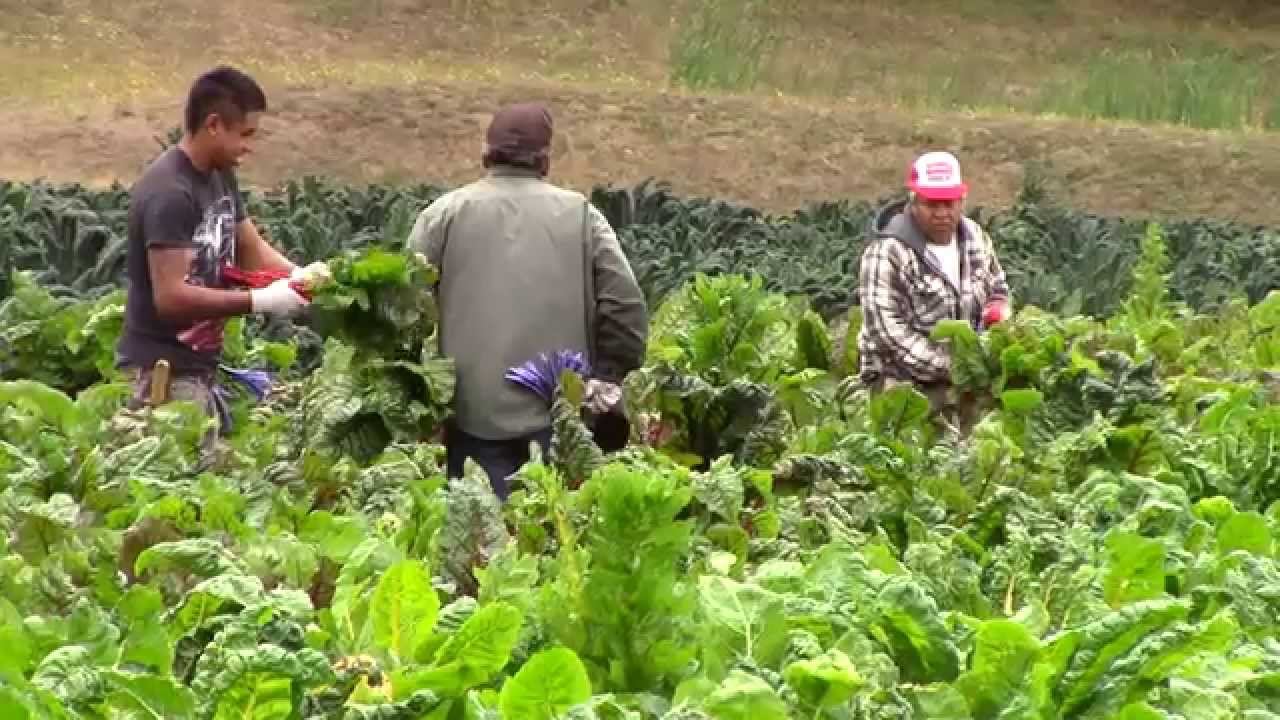 La agricultura y la energía son ahora fronteras de alta tecnología