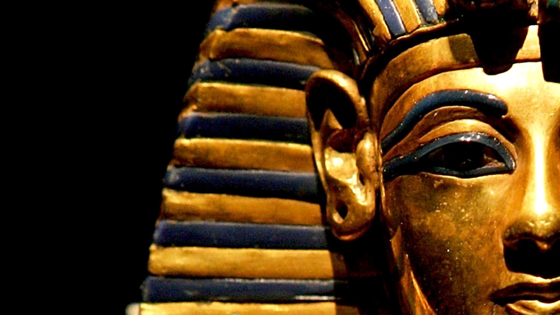 Resolvió el misterio en la tumba de Nefertiti