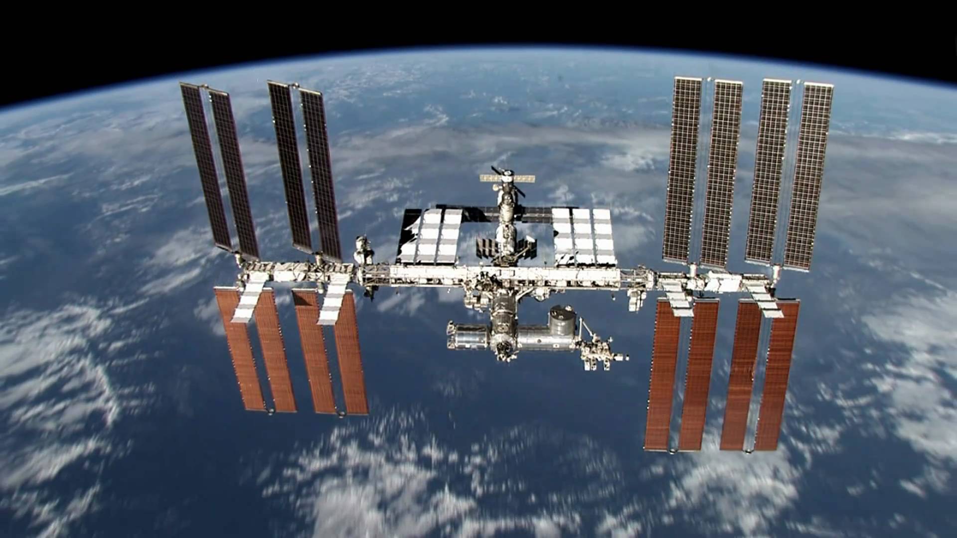 Estación espacial internacional: una bacteria desconocida ha sido identificada