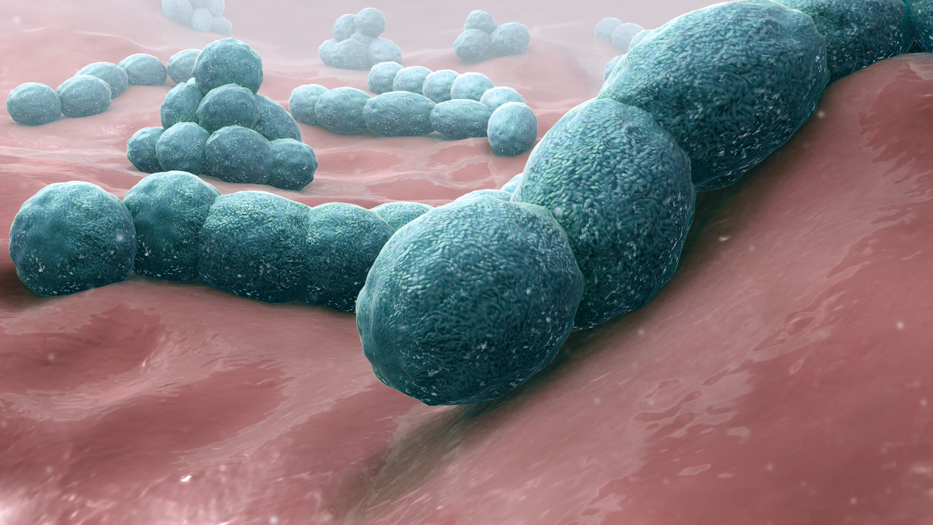 Nuevos casos de meningitis: en Imola un hombre de 66 años, en Inglaterra