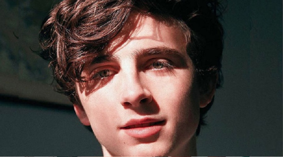 Timothée Chalamet es un adicto a la metanfetamina en Beautiful Boy