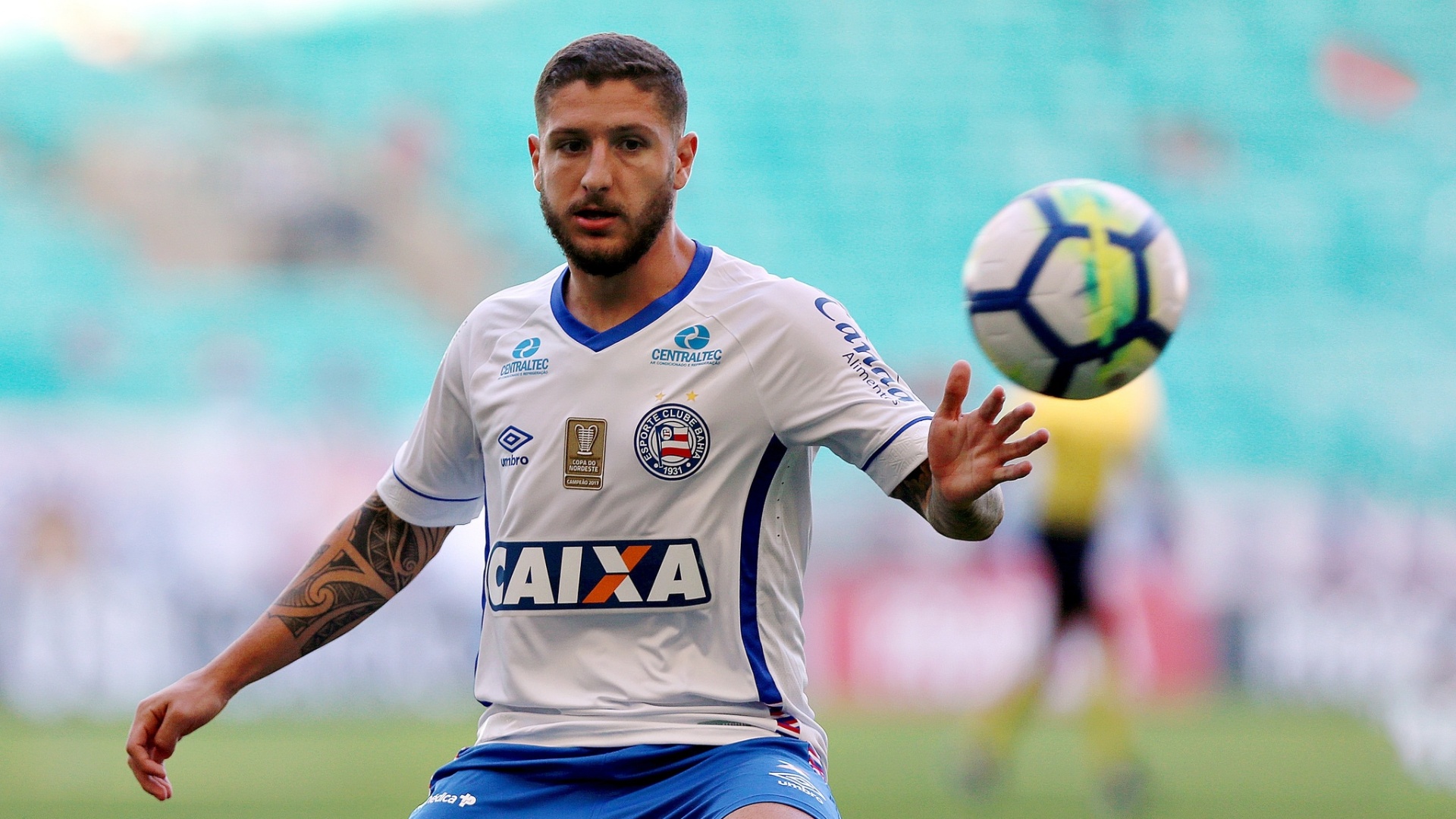 Meia orgulhoso de interesse do Palmeiras