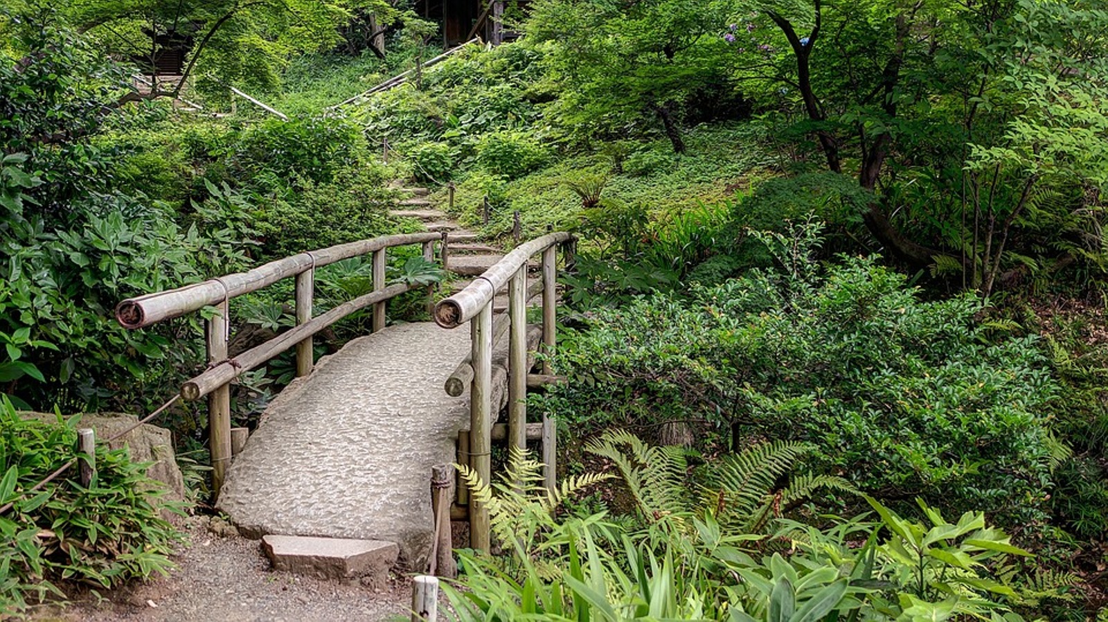 Date un baño de naturaleza para reducir el estrés