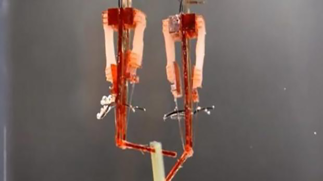 Dal Giappone il robot costruito con muscoli
