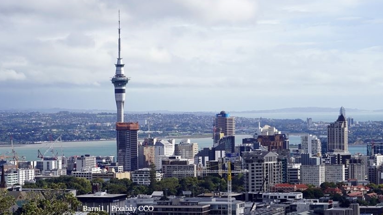 McDonald's in New Zealand are testing reduction of plastic straws with customers