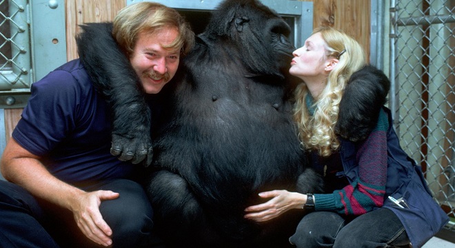 Koko fue un icono de la comunicación