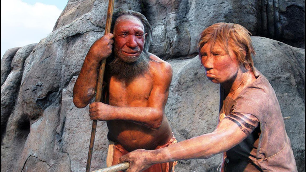 Crean mini-cerebros Neandertal para fines cientificos