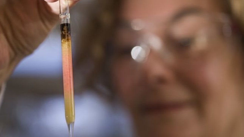 Descubren el color más antiguo del planeta