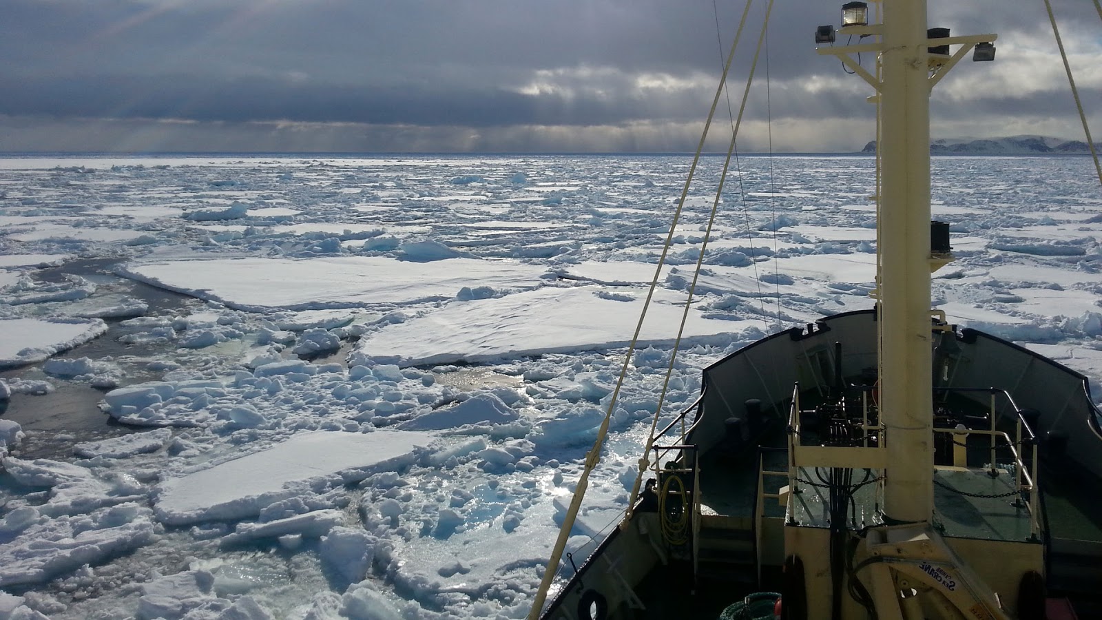 VÍDEO: El calentamiento global devela cadáveres bajo el hielo en Suiza