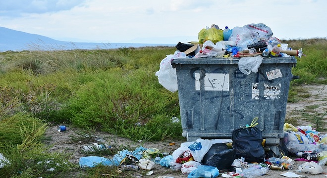 Científicos descubren una bacteria que se come el plástico