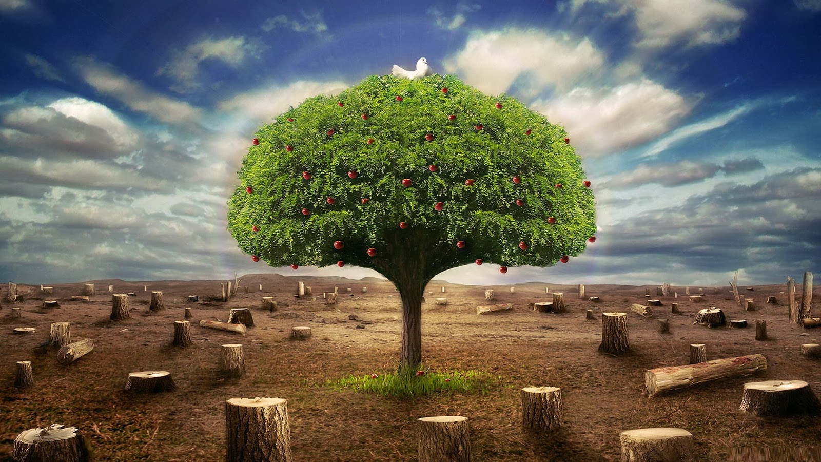 La temperatura de la tierra amenaza con subir a límites de riesgo