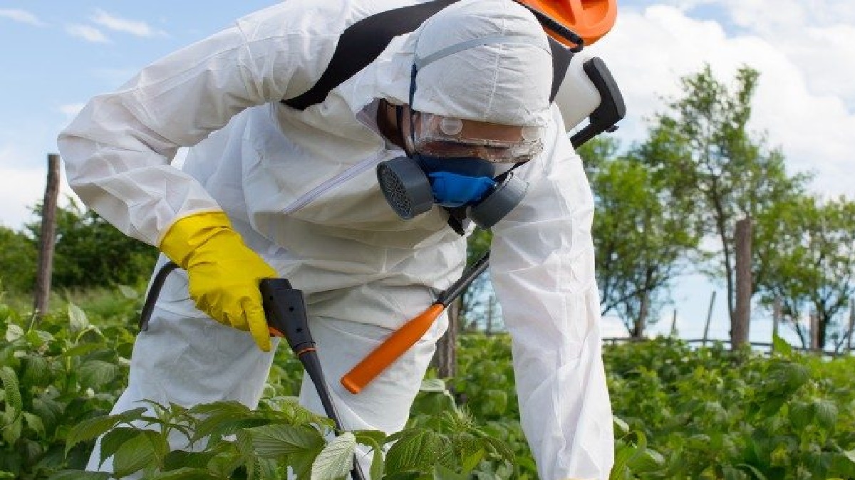 Bayer afirma que el glifosato no es cancerígeno