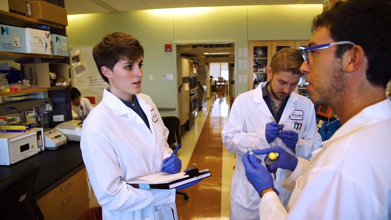 Universidade de Nova Iorque de medicina será gratuita
