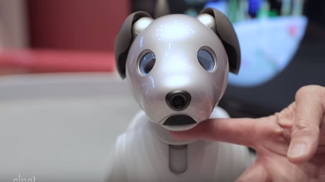 Sony is going to launch a new AI-based robotic dog in September
