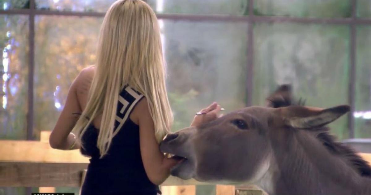 La entrada de Oriana en GH VIP 6: Le muerde un burro y huye de un avestruz