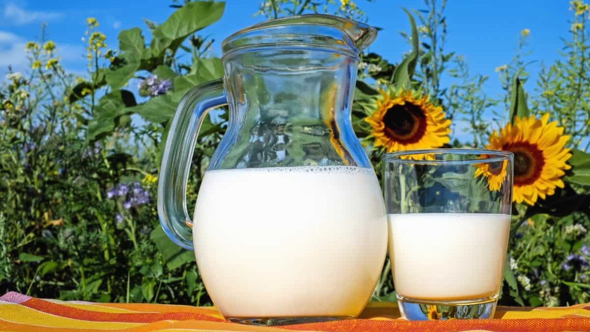 Latte intero, vero alleato della salute cardiovascolare