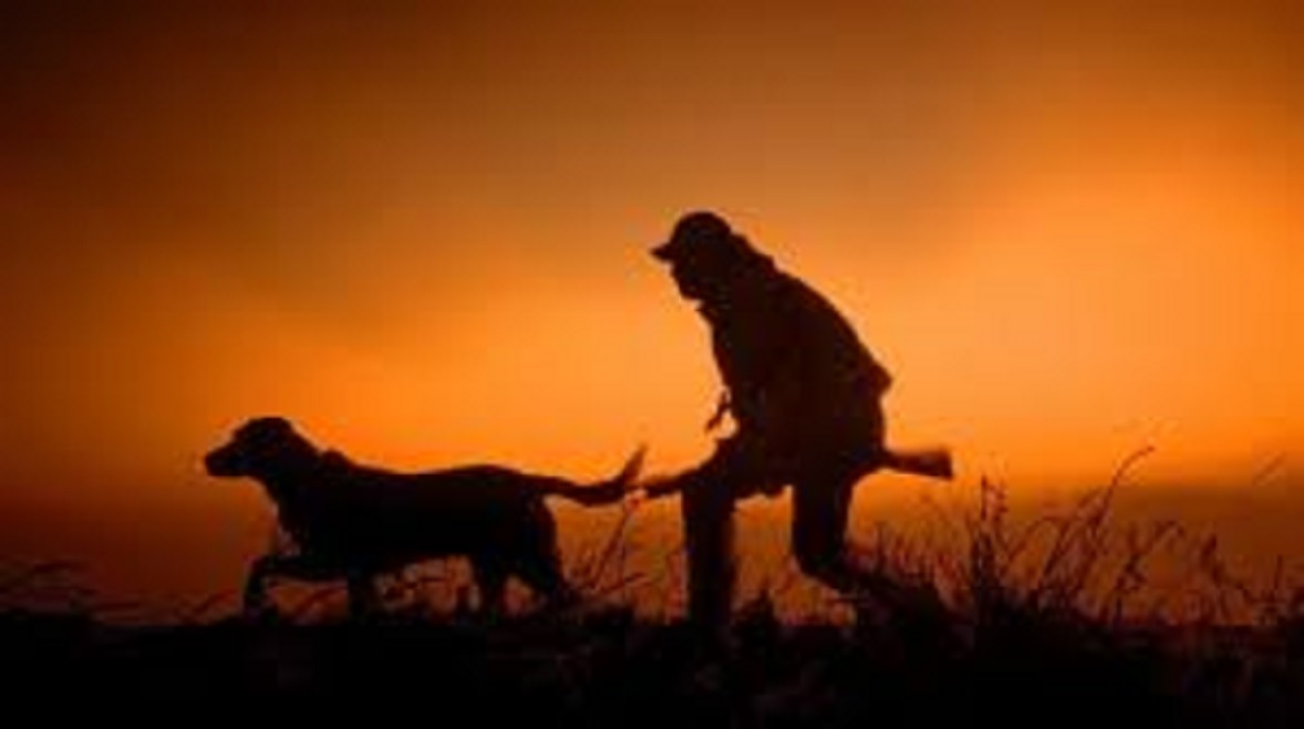 Chasseurs : hécatombes dominicales inquiétantes