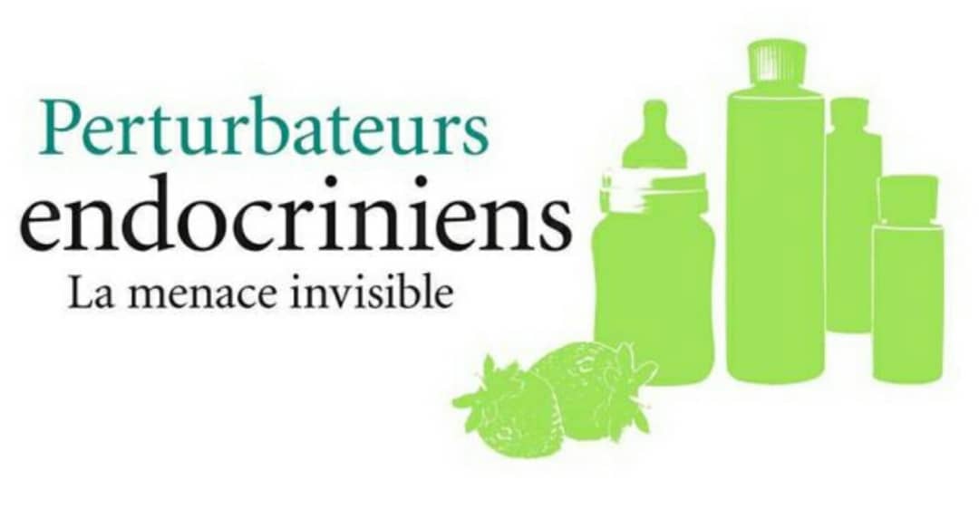 Santé : nos aliments comportent parfois des perturbateurs endocrinien