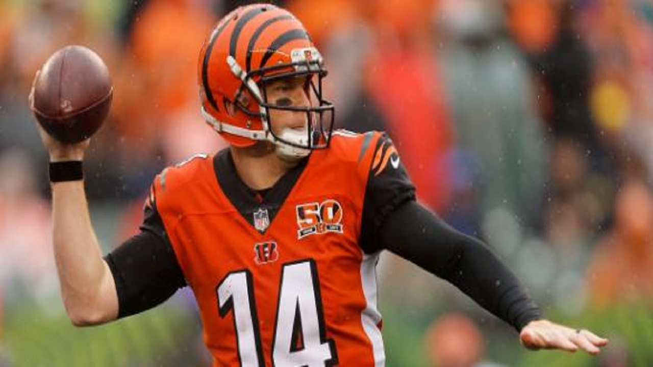5 stars from the Bengals vs Steelers game