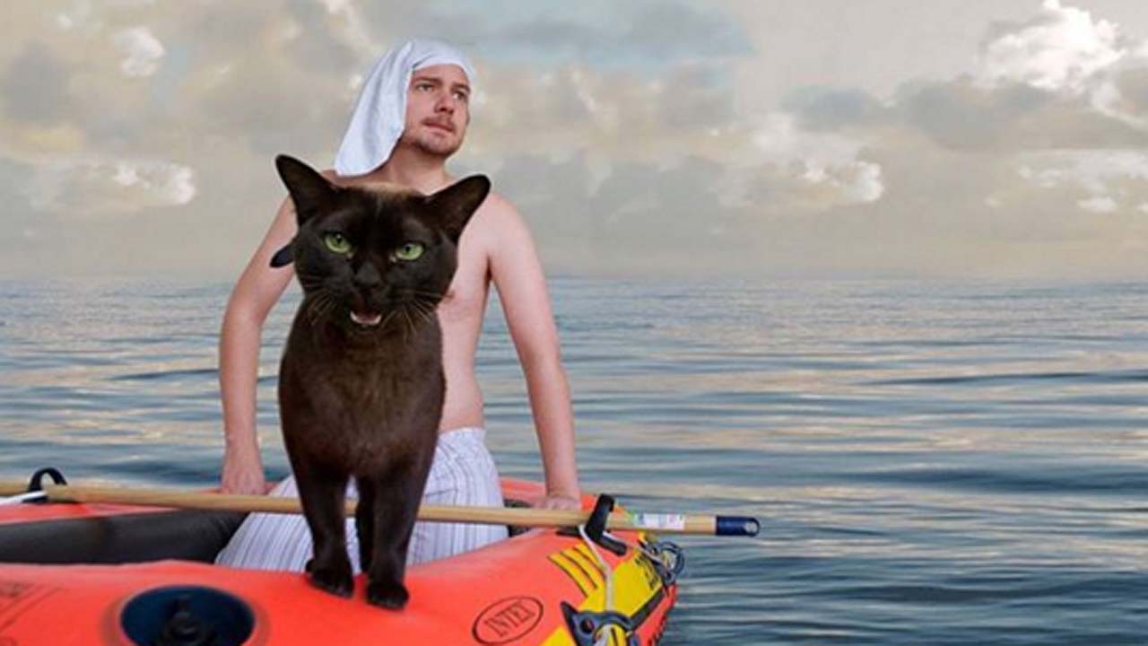 Мужчина и его кот. Мужчина с котенком. Мужчина и его кот. Мужчина с котенком. Кошками.