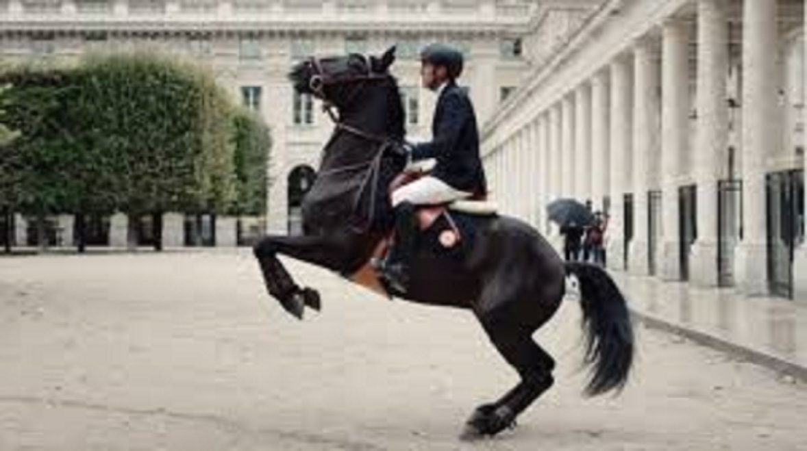 Focus sur le mors, un objet aussi ancien que l'équitation