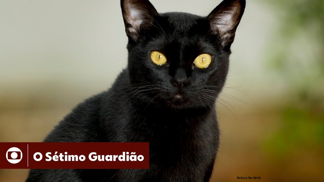 Gabriel teme que sua mãe tente matá-lo em O Sétimo Guardião