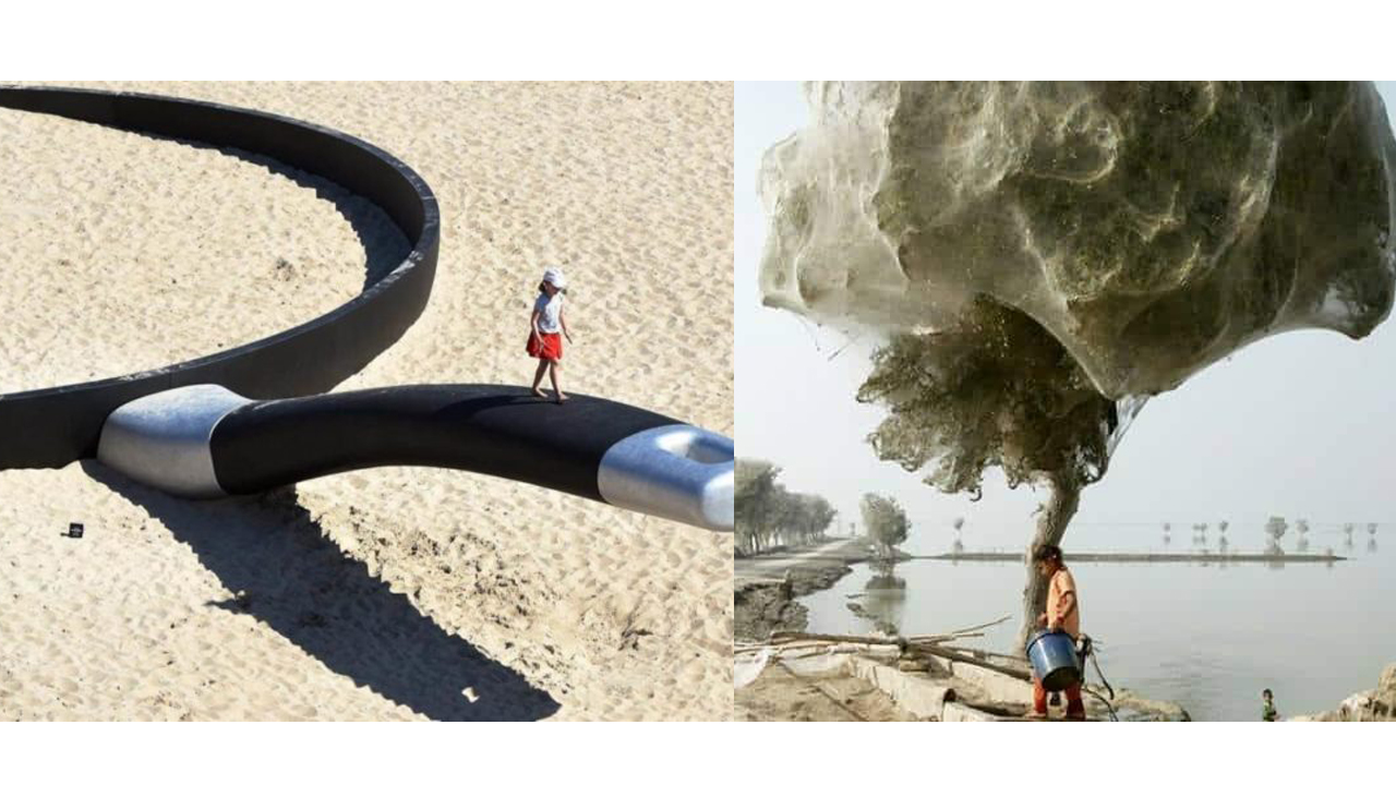 5 imagens perfeitas que parecem montagem
