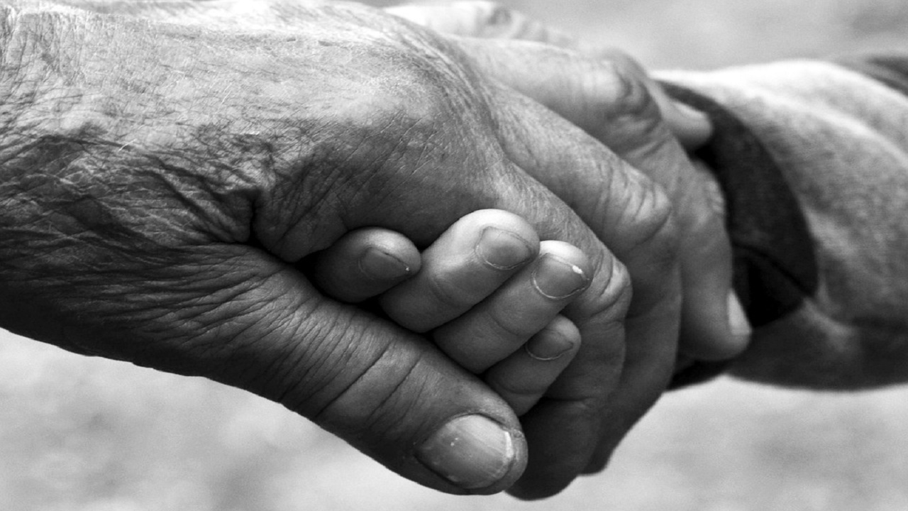 Quota 100, 13.792 domande già inoltrate: i numeri della platea di beneficiari