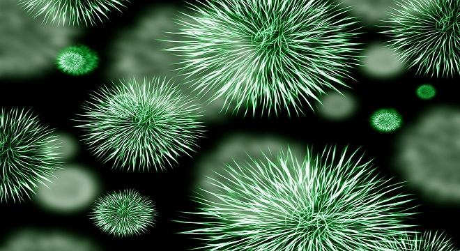 Hay un posible vínculo entre las bacterias intestinales y la depresión