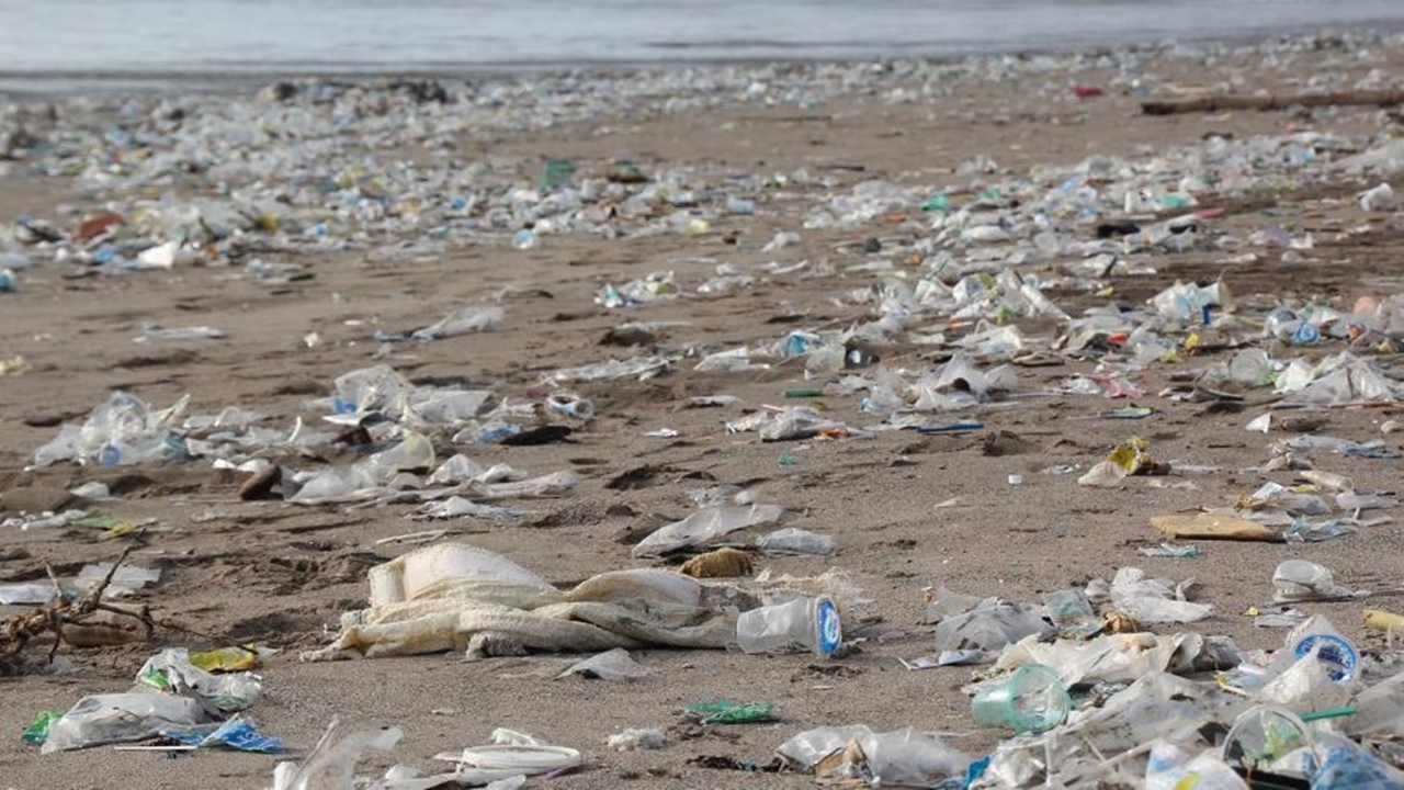 California: Rains sweep down tons of litter to Seal Beach