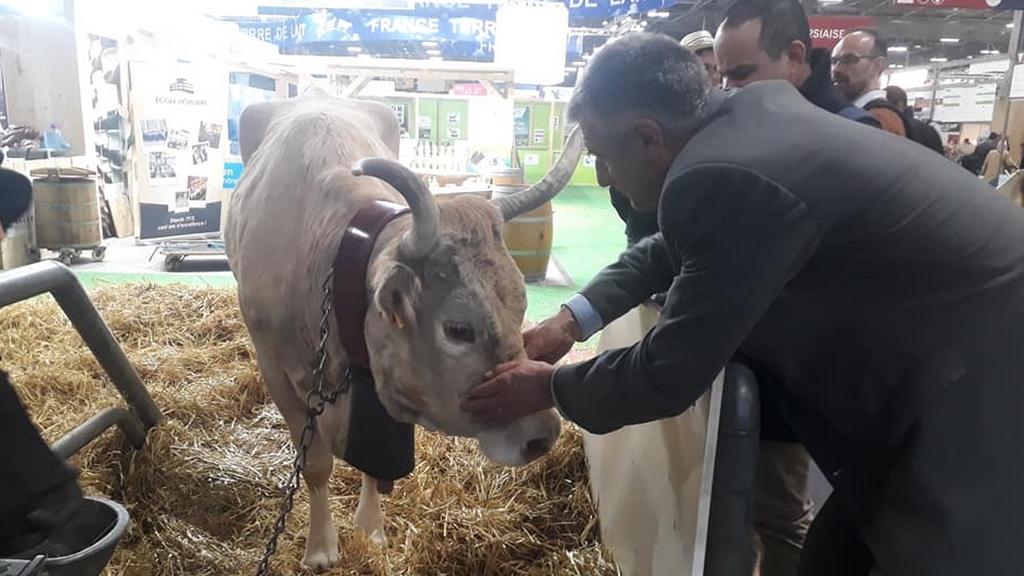 Jean Lassalle à la rencontre des agriculteurs au salon de l'agriculture