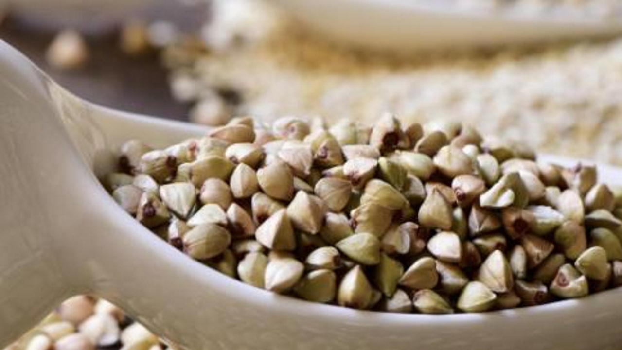 Nutrition : le sarrasin, une graine aux belles vertus entre vitamines et minéraux