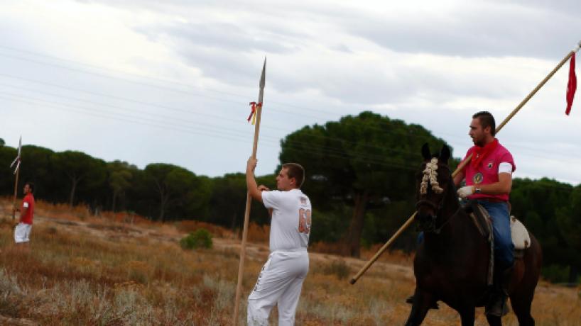 El Tribunal no admite el último recurso del Ayuntamiento sobre el Toro de la Vega