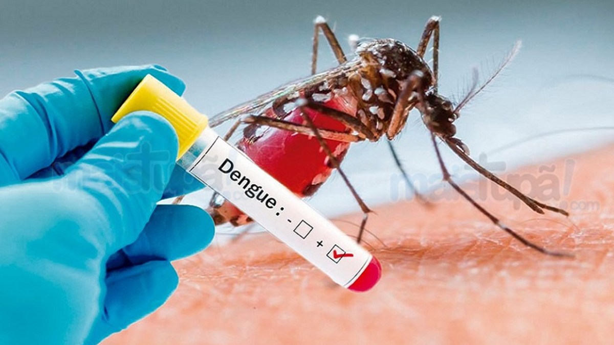 Mais de 25 mil casos de dengue foram registrados em Goiás este ano