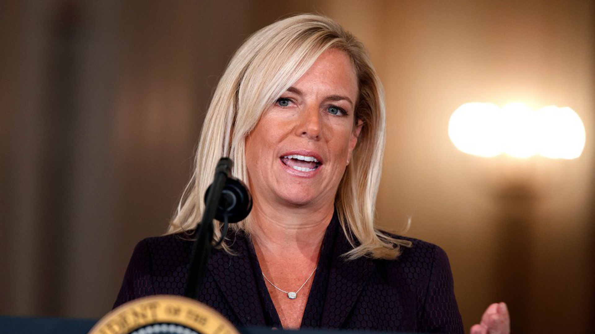 DHS Secretary Nielson revealed southern border emergency plan
