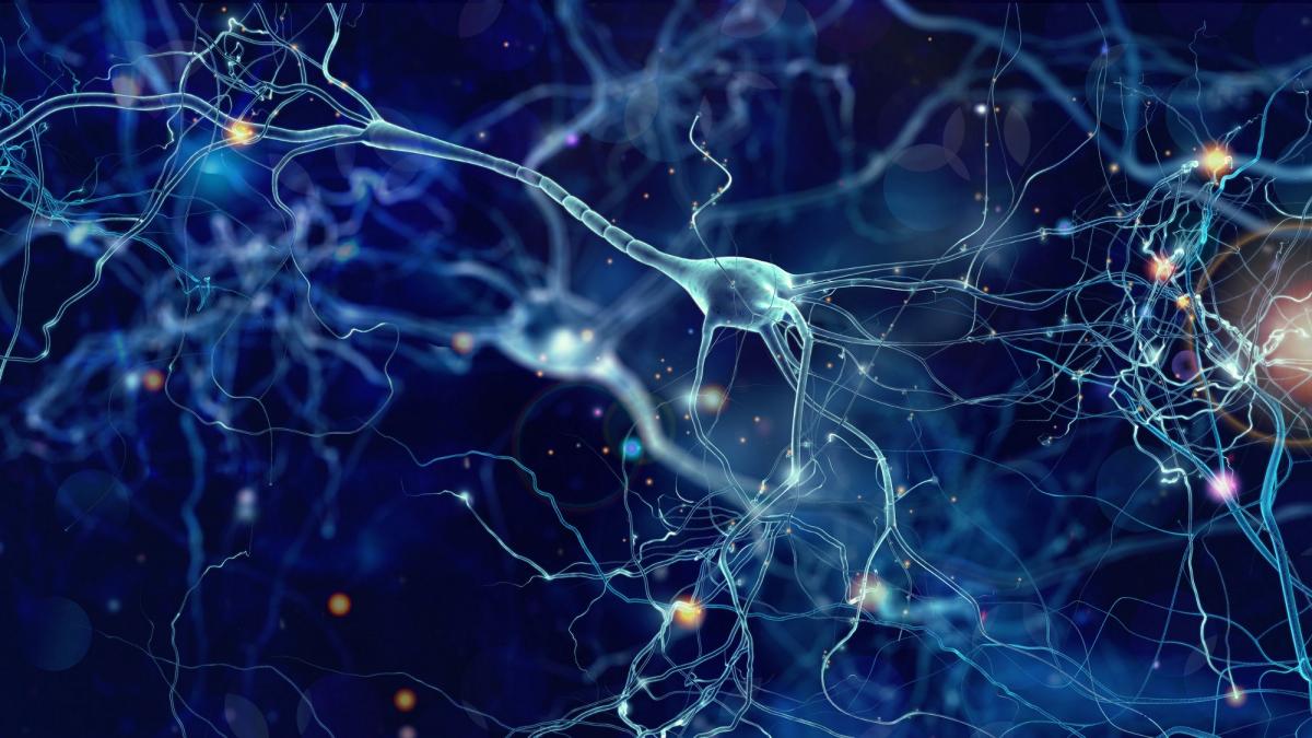Redes neuronales: el pensamiento del ser humano podría ser controlado por las máquinas