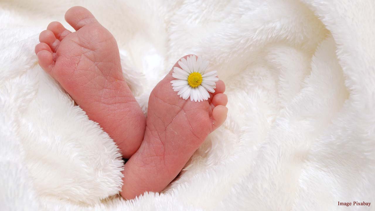 Heartwarming story of a Boston nurse who adopted an abandoned premature baby
