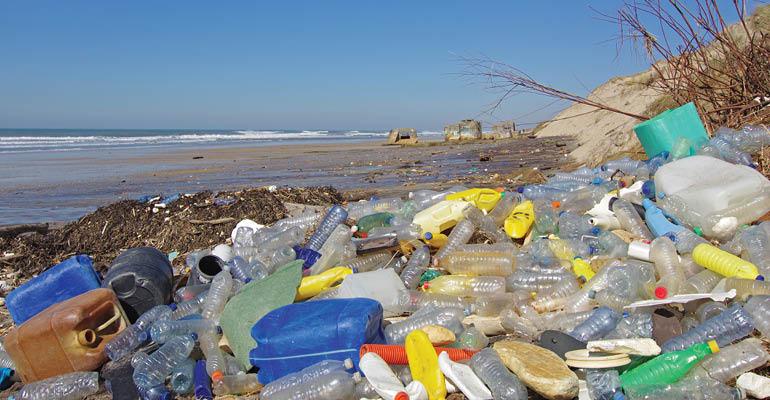 Early ocean plastic litter traced to 1960s
