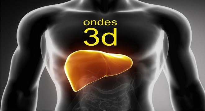 Un colorante facilita la impresión 3D de redes vasculares de pulmones e hígados