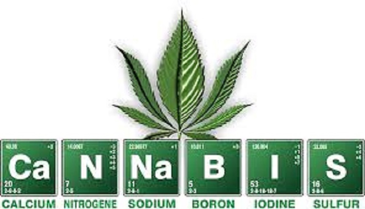 Salvini incontra le comunità di recupero: 'Chiuderemo i negozi di cannabis'