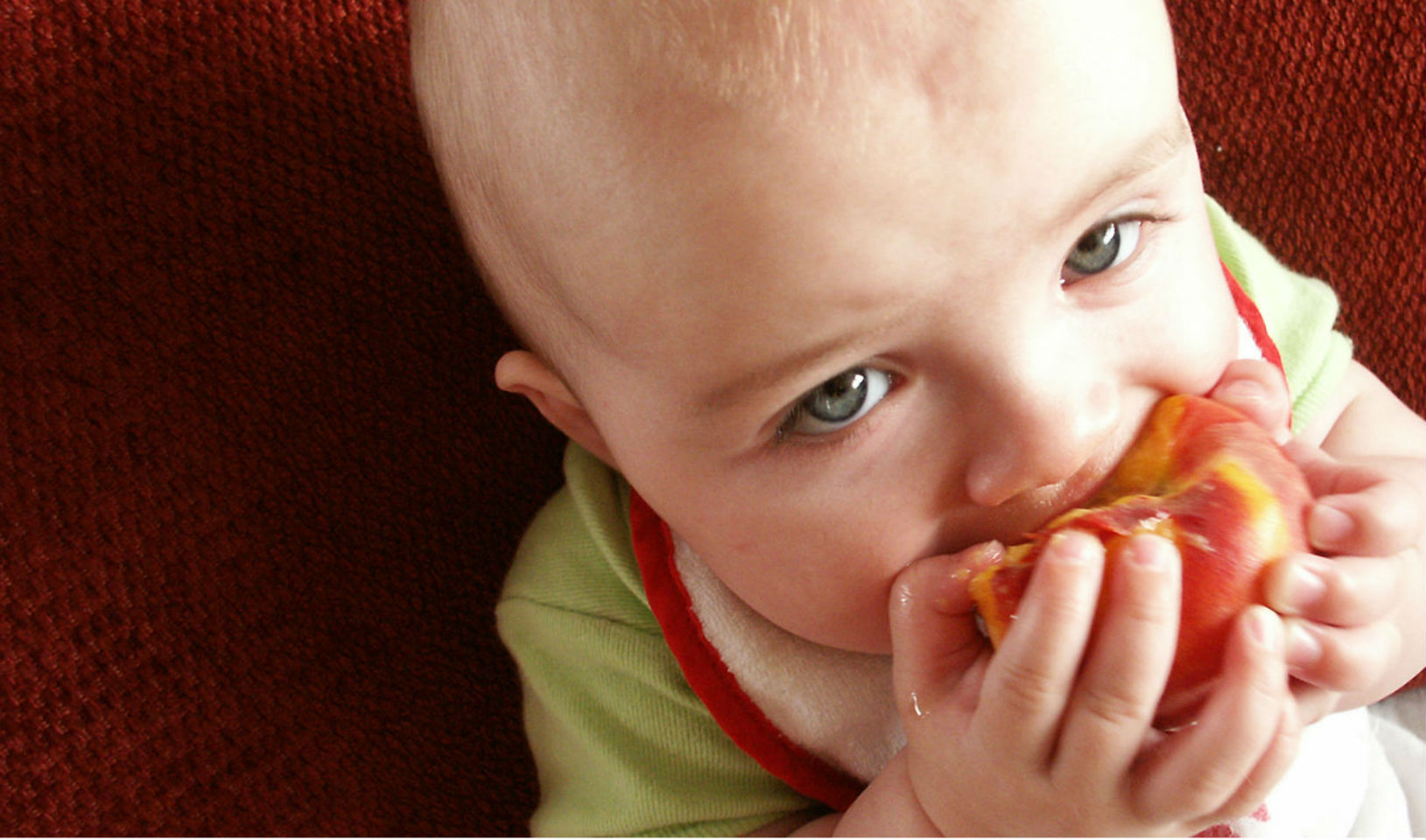 Dicas que vão ajudar o seu bebê a começar a comer normalmente