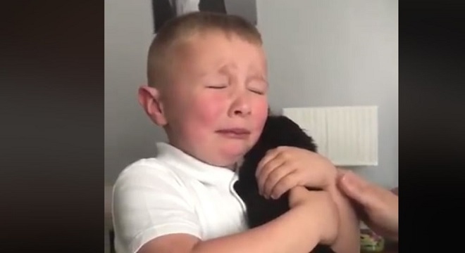 La emoción de un niño al conocer a su nueva mascota se vuelve viral en Gran Bretaña