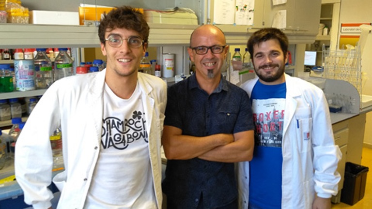 La UAB encuentra una molécula que podría ser una cura para el Parkinson