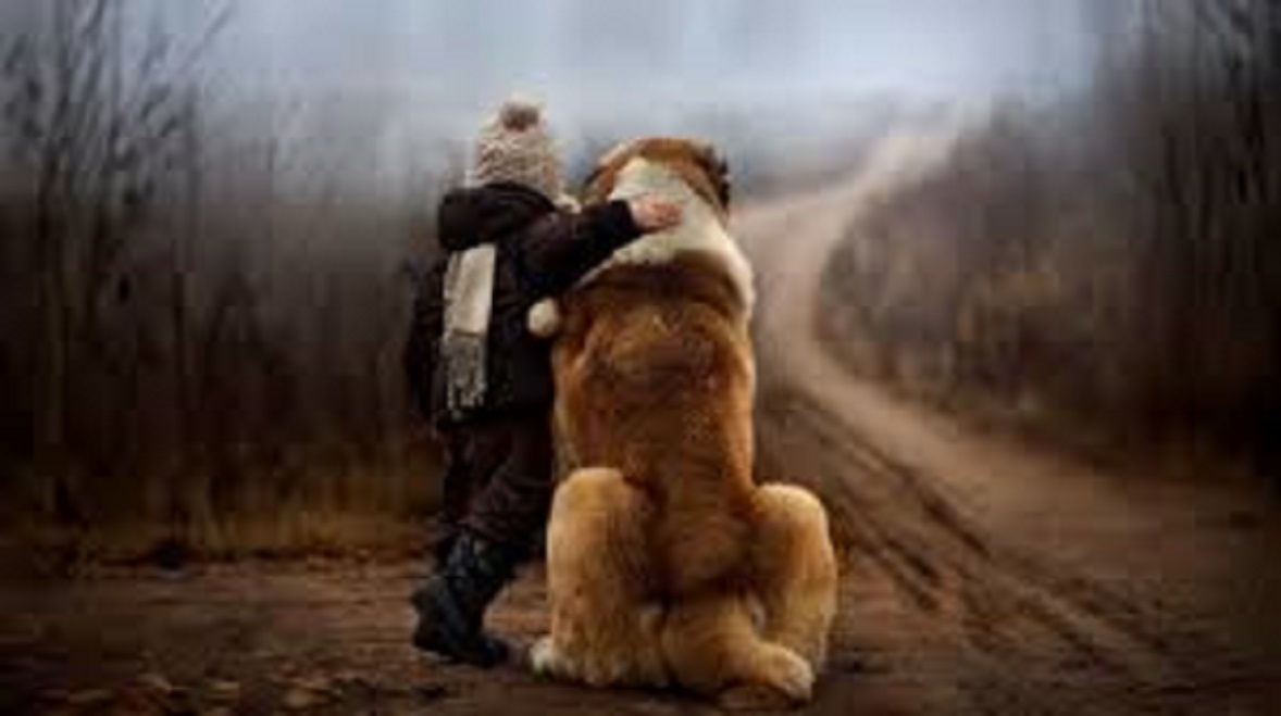 Des photographies d'enfants magnifiques avec leurs gros chiens