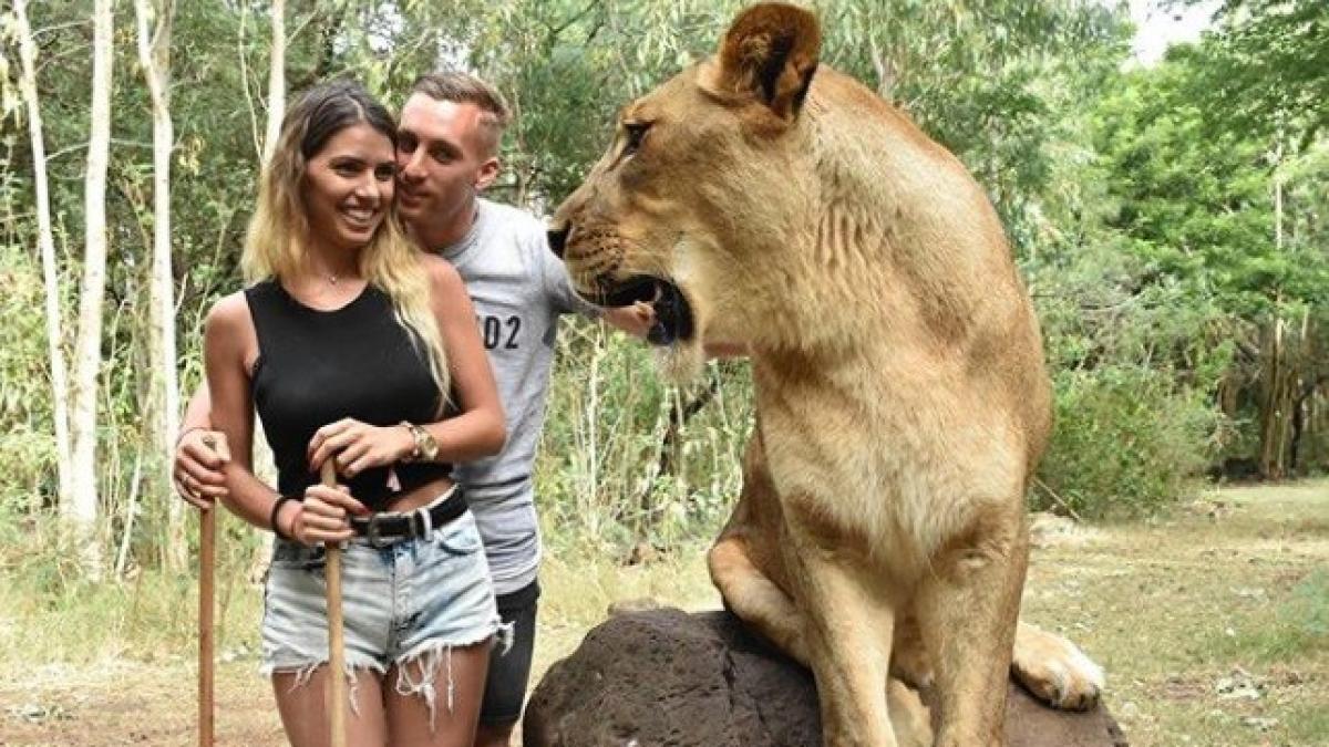 Deulofeu y su novia se hacen unas fotos con un leon